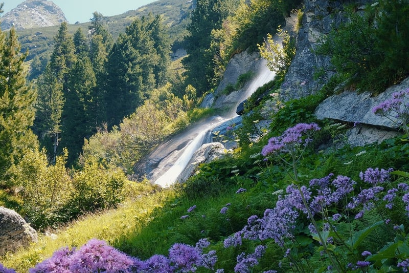 Waterfall Bliss