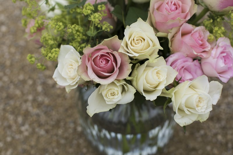 Fall Blooms