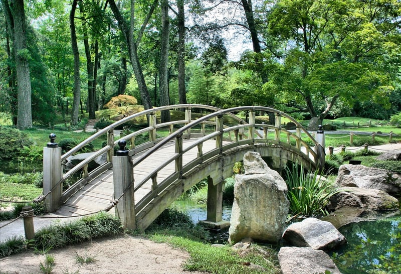 Enchanted Pathway